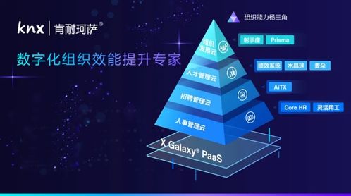 宇培集團攜手肯耐珂薩，共創人力資源數字化時代
